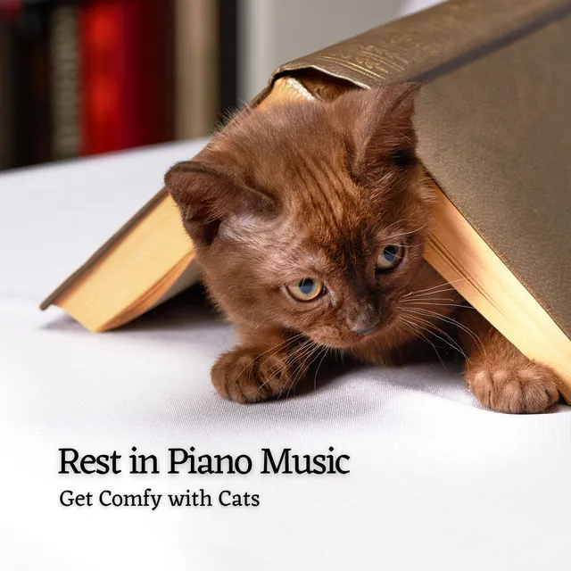 Rest in Piano Music: Get Comfy with Cats