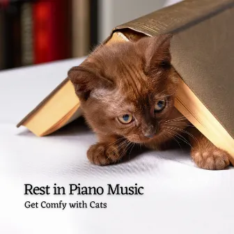 Rest in Piano Music: Get Comfy with Cats by Relaxing Pet Music