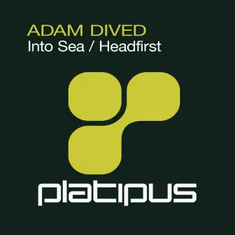 Into Sea by Adam Dived