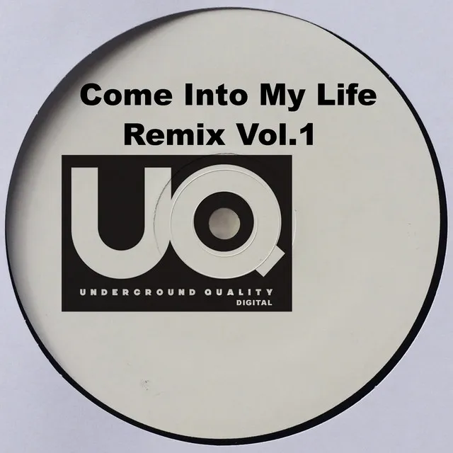 Come Into My Life - DJ Ryder Remix