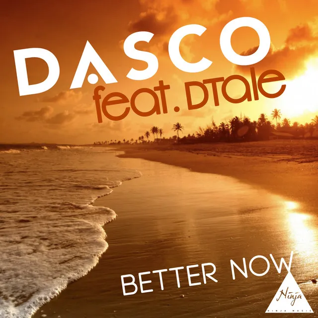 Better Now (feat. Dtale) - Diamm Radio Edit