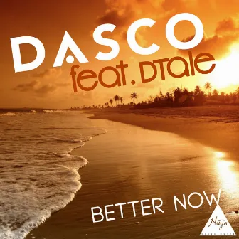 Better Now (feat. Dtale) by Dasco