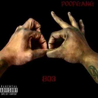 803 by PooPManE