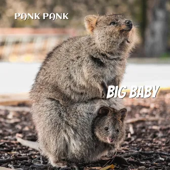 Big Baby by Pank