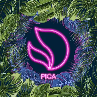 Pica by Henry Fong