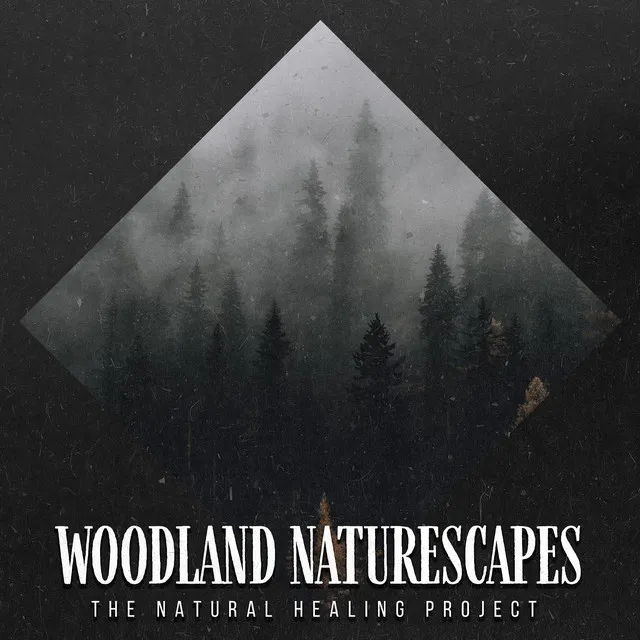 Woodland Naturescapes