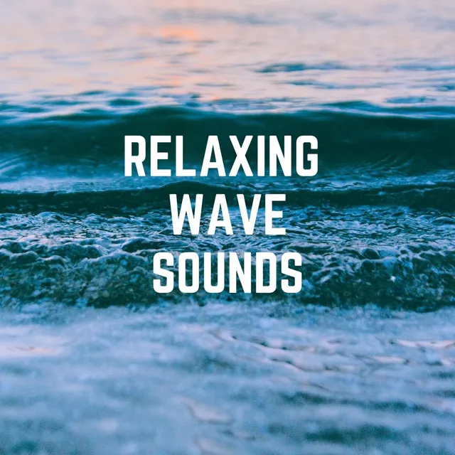 Relaxing Wave Sounds at Shaldon Beach