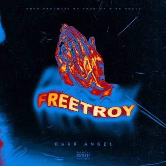 FreeTroy by R O Beatz