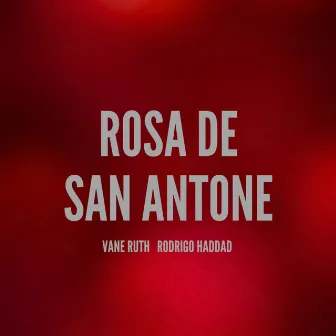 Rosa de San Antone by Rodrigo Haddad