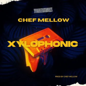 Xylophonic (Radio Edit) by Chef Mellow