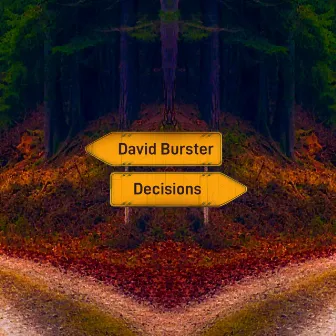 Decisions by David Burster