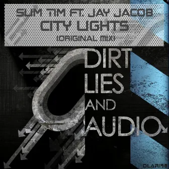 City Lights by Slim Tim