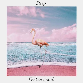 Feel So Good by 5LEEP