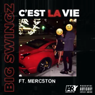 C'est la vie by Big Swingz