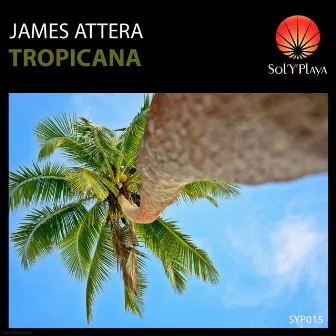 Tropicana by Unknown Artist