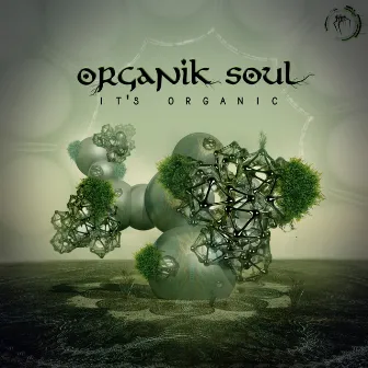 Its' Organic by Organik Soul