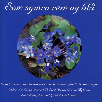 Som Symra Rein Og Blå by Eivind Groven