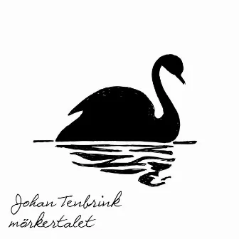 Mörkertalet by Johan Tenbrink