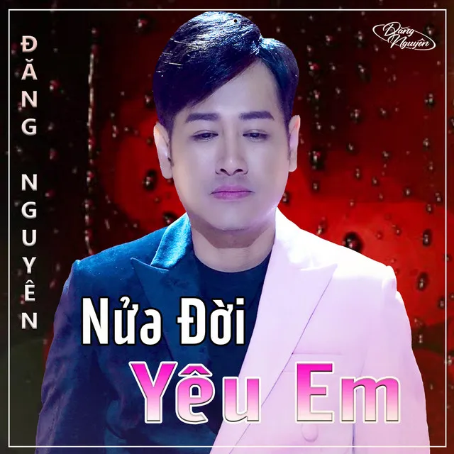 Nửa Đời Yêu Em