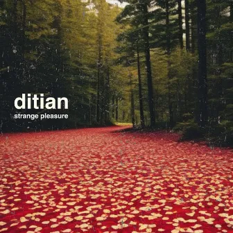 Strange Pleasure EP by Ditian