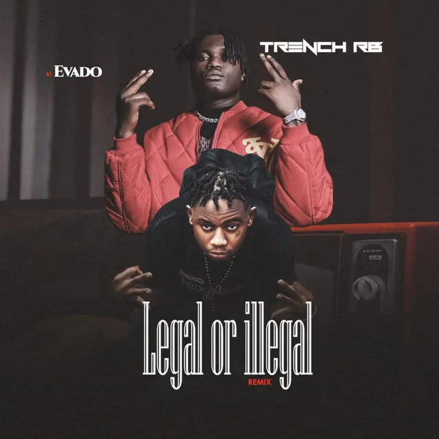 Legal Or Illegal - Remix