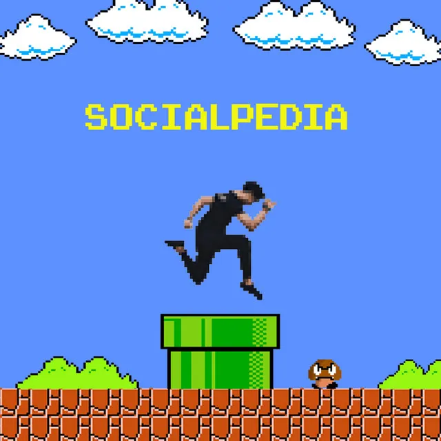 SOCIALPEDIA*