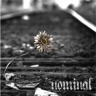 Nominal by Nominal