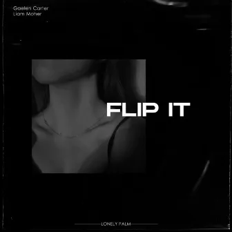 Flip It by Liam Moher