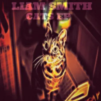 Cats by Liam Smith