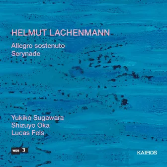 Helmut Lachenmann: Chamber Music by Shizuyo Oka