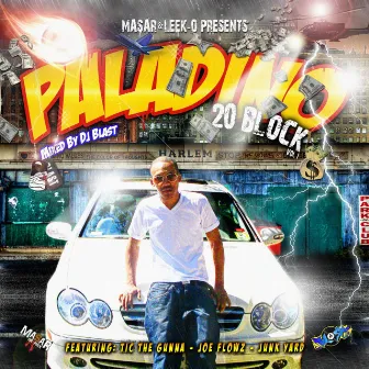 20 Block Vol 1 by Paladino