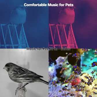 Music for Pet Birds - Guitar by Comfortable Music for Pets