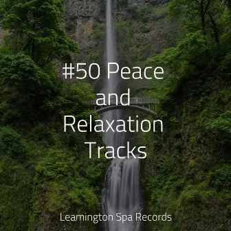 #50 Peace and Relaxation Tracks by Loopable Sounds for Babies