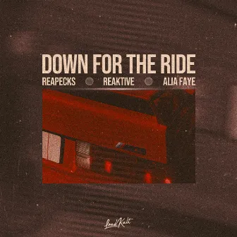 Down For The Ride by Alia Faye