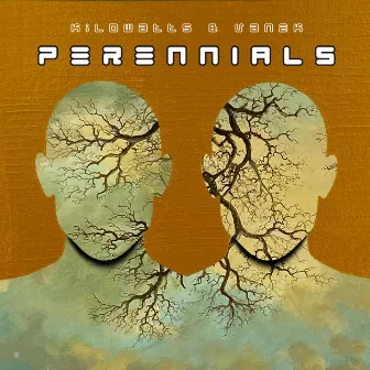 Perennials by KiloWatts & Vanek