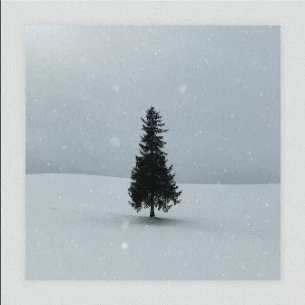 evergreen by middle child