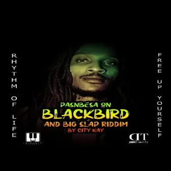 Pasnbesa On Black Bird & Big Slap Riddim by Pasnbesa