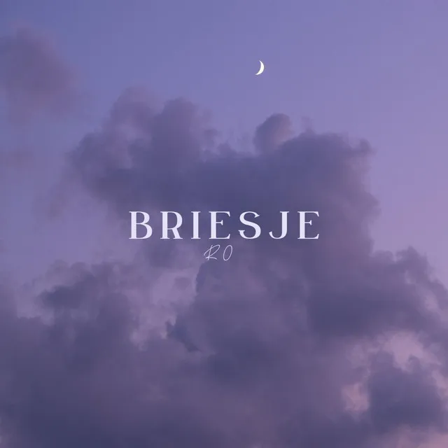 Briesje