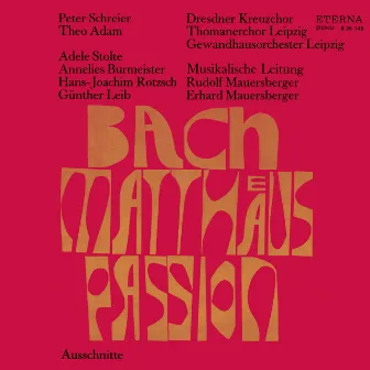 Bach: St Matthew Passion (Highlights) by Erhard Mauersberger