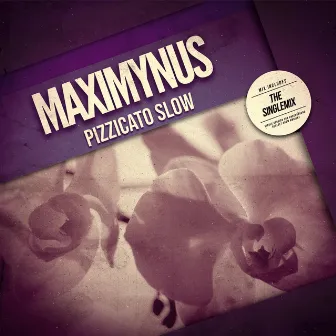 Pizzicato Slow by Maximynus