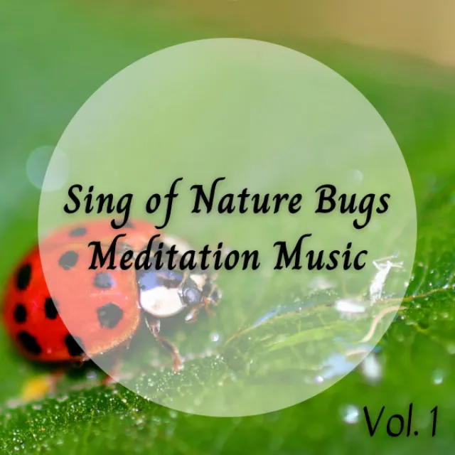 Sing of Nature Bugs Meditation Music Vol. 1