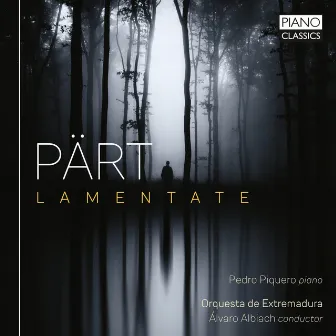 Pärt: Lamentate by Unknown Artist