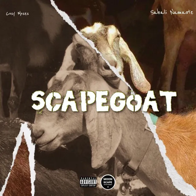 Scapegoat