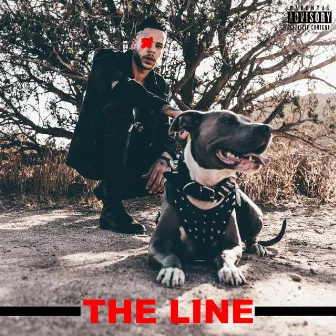 X the Line by NYK