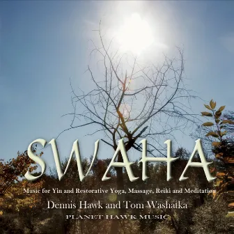 Swaha by Dennis Hawk