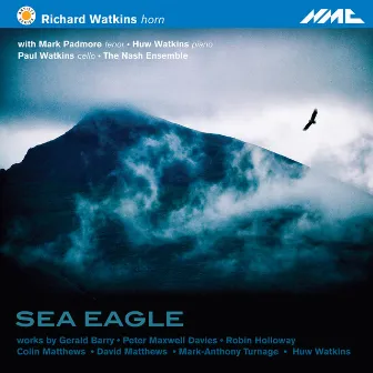 Sea Eagle by Richard Watkins