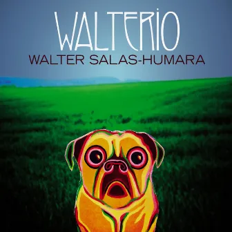 Walterio by Walter Salas-Humara