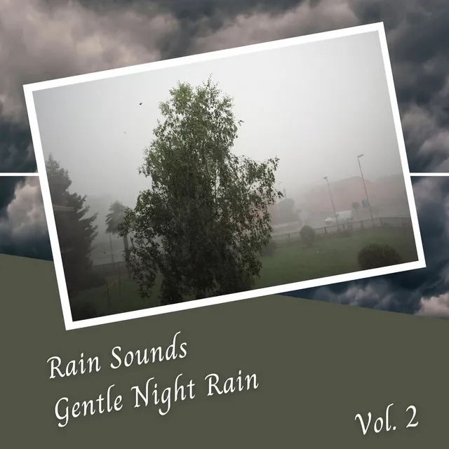 Rain Sounds Gentle Night Rain Vol. 2 - 3 Hours