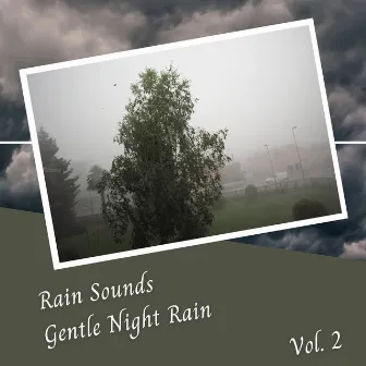 Rain Sounds Gentle Night Rain Vol. 2 - 3 Hours by Sleep Music Bliss