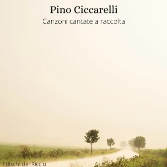 Canzoni cantate a raccolta by Pino Ciccarelli